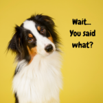 Arf: The Art of Speaking ‘Dog’